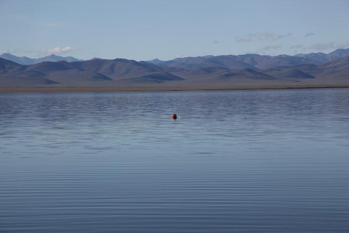 person in red shirt standing on body of water during daytime